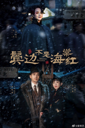 Winter Begonia EP 5