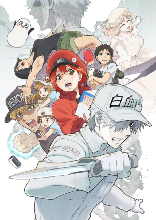 Hataraku Saibou 2 เซลล์ขยัน พันธุ์เดือด ภาค 2 ซับไทย