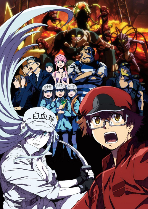 Hataraku Saibou Black เซลล์ขยัน พันธุ์เดือด แบล็ค