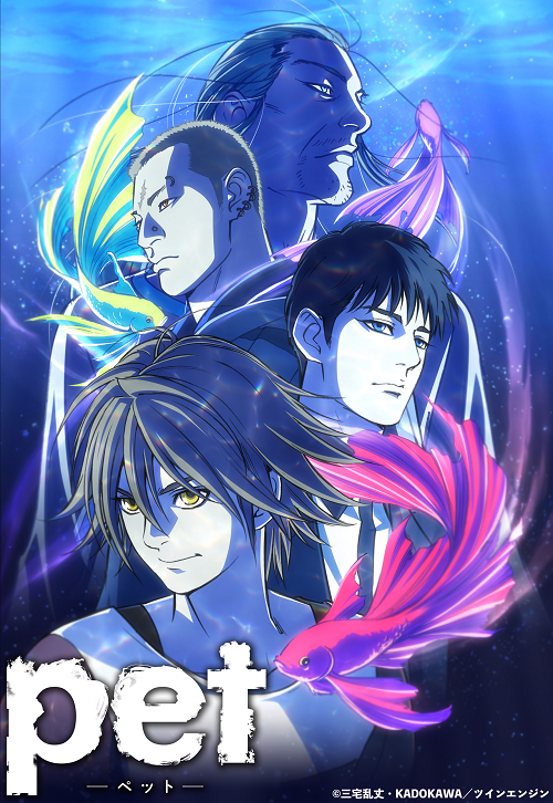 PET Anime