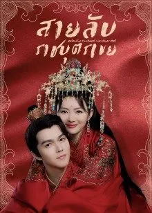 Detective Husband I've Never Met (2022) สายลับราชบุตรเขย