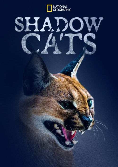 Shadow Cats (2022) (2022)