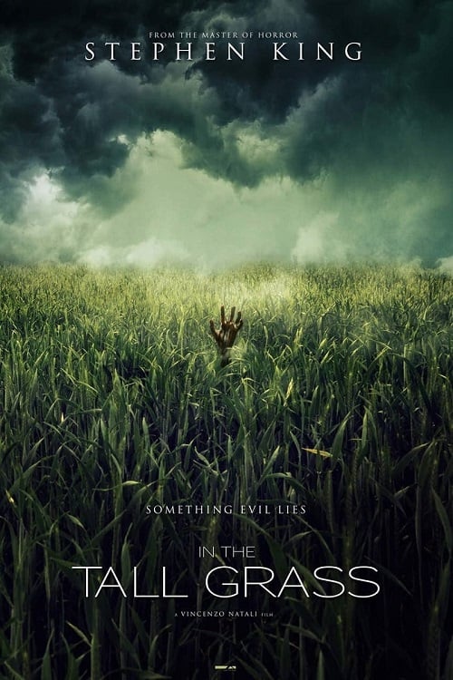 In the Tall Grass (2019) พงหลอนมรณะ (2019)