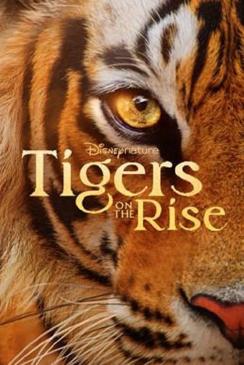 Tigers on the Rise (2024) (2024)