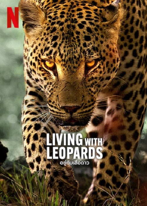 Living with Leopards (2024) อยู่กับเสือดาว (2024)