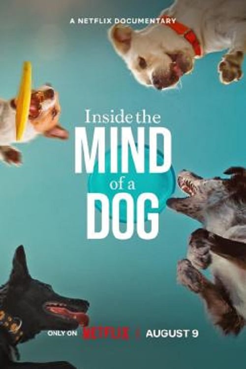 Inside the Mind of a Dog (2024) อ่านใจสุนัข (2024)