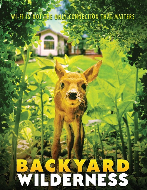 Backyard Wilderness (2018)