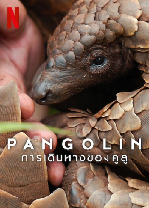 Pangolin Kulu’s Journey (2025) การเดินทางของคูลู (2025)