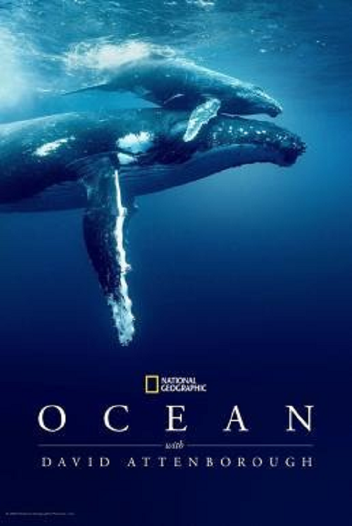 Ocean with David Attenborough (2025) (2025)