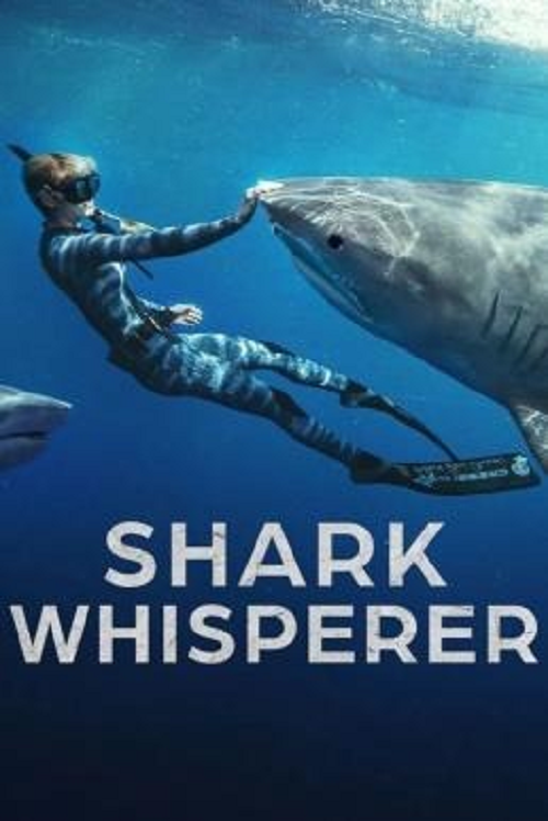 Shark Whisperer (2025) คนรักษ์ฉลาม (2025)