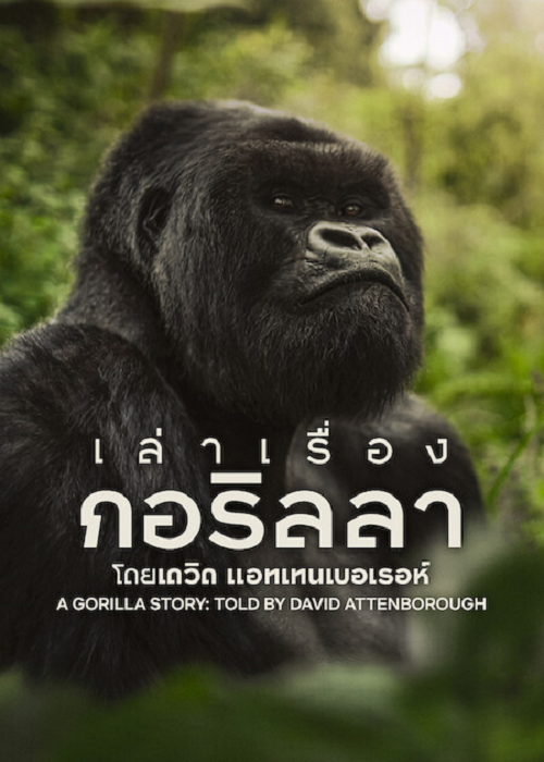 A Gorilla Story (2026) เล่าเรื่องกอริลลา โดยเดวิด แอทเทนเบอเรอห์