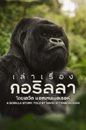 A Gorilla Story (2026) เล่าเรื่องกอริลลา โดยเดวิด แอทเทนเบอเรอห์